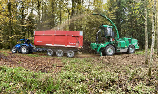 Holzhacken